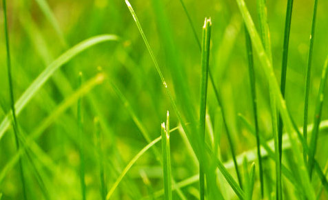 在线短信电话轰炸机